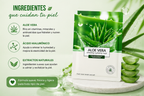 Mascarilla Facial Aloe Vera